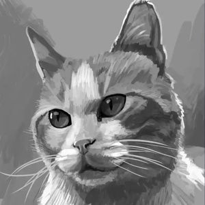 Meet your Posher, Kaity